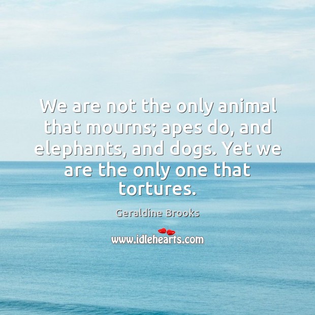 We are not the only animal that mourns; apes do, and elephants, Image