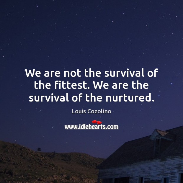 We are not the survival of the fittest. We are the survival of the nurtured. Louis Cozolino Picture Quote