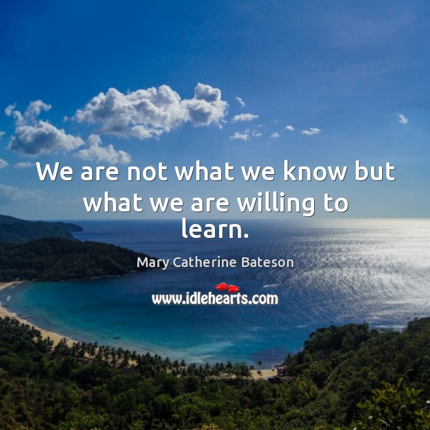 We are not what we know but what we are willing to learn. Mary Catherine Bateson Picture Quote