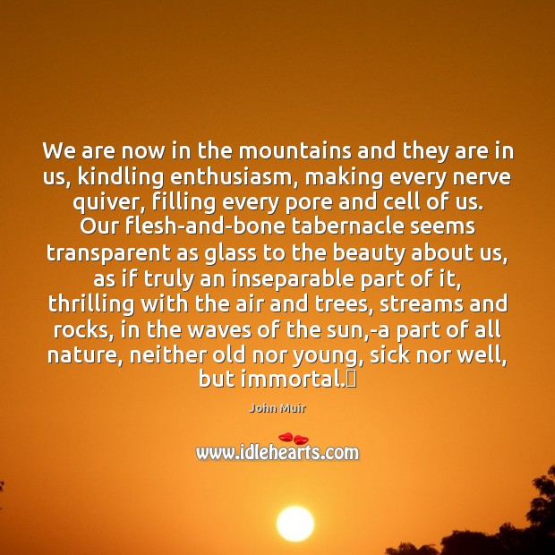 We are now in the mountains and they are in us, kindling John Muir Picture Quote