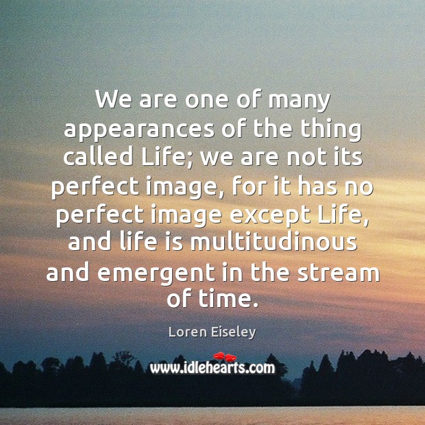 We are one of many appearances of the thing called Life; we Loren Eiseley Picture Quote