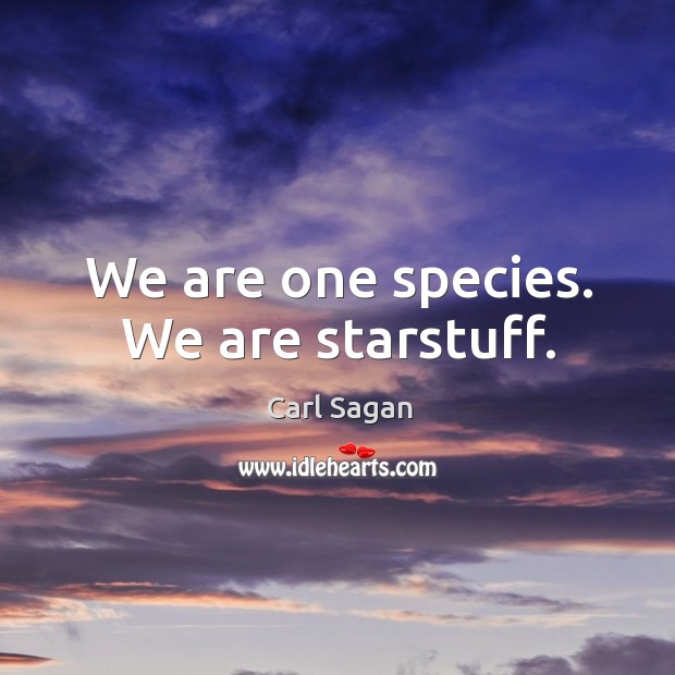 We are one species. We are starstuff. Carl Sagan Picture Quote