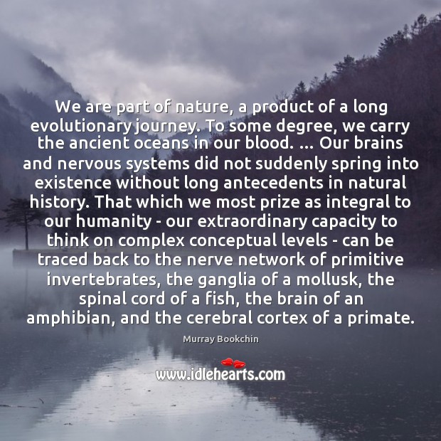 We are part of nature, a product of a long evolutionary journey. Image