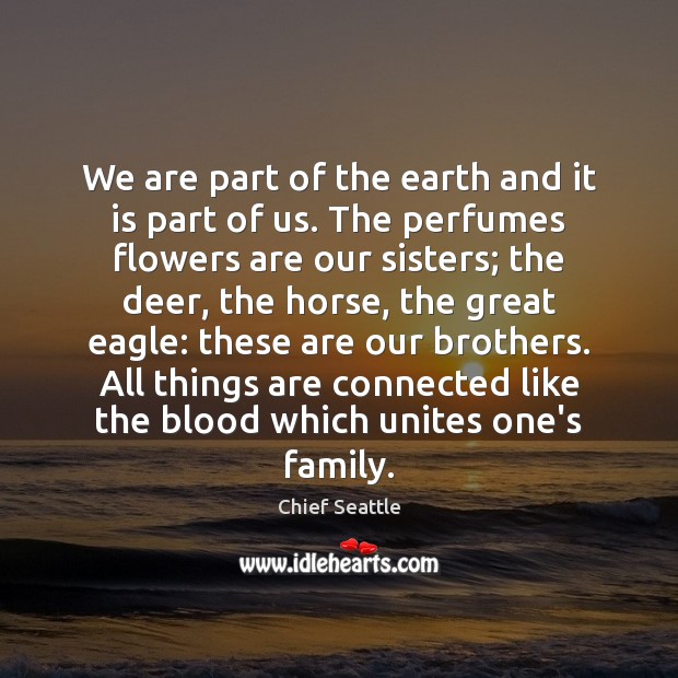 We are part of the earth and it is part of us. Chief Seattle Picture Quote