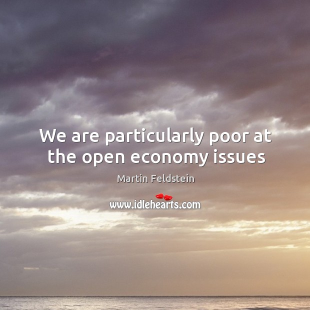 We are particularly poor at the open economy issues Martin Feldstein Picture Quote