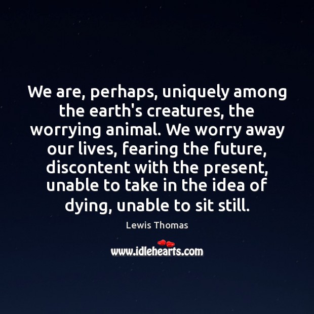 We are, perhaps, uniquely among the earth’s creatures, the worrying animal. We Image