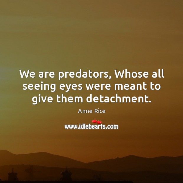 We are predators, Whose all seeing eyes were meant to give them detachment. Image