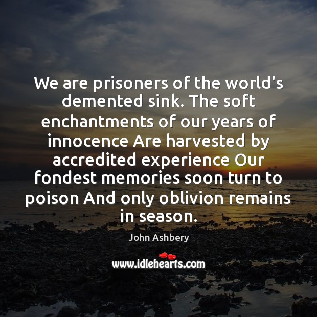 We are prisoners of the world’s demented sink. The soft enchantments of John Ashbery Picture Quote