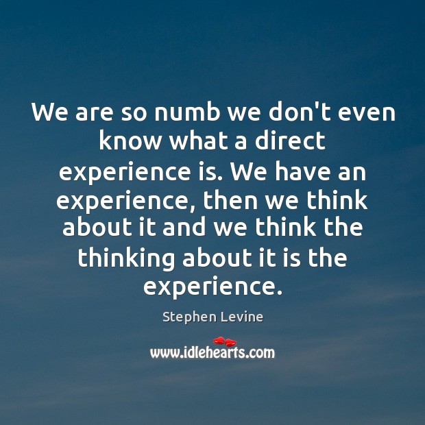 We are so numb we don’t even know what a direct experience Stephen Levine Picture Quote