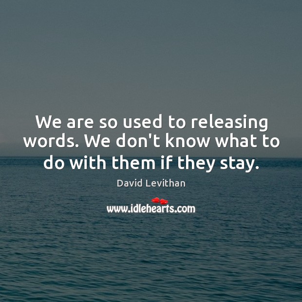 We are so used to releasing words. We don’t know what to do with them if they stay. David Levithan Picture Quote