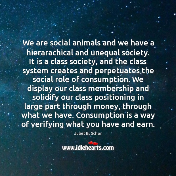 We are social animals and we have a hierarachical and unequal society. Juliet B. Schor Picture Quote