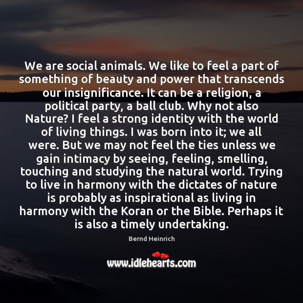 We are social animals. We like to feel a part of something Bernd Heinrich Picture Quote