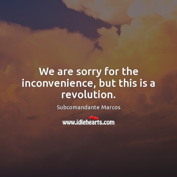 We are sorry for the inconvenience, but this is a revolution. Subcomandante Marcos Picture Quote