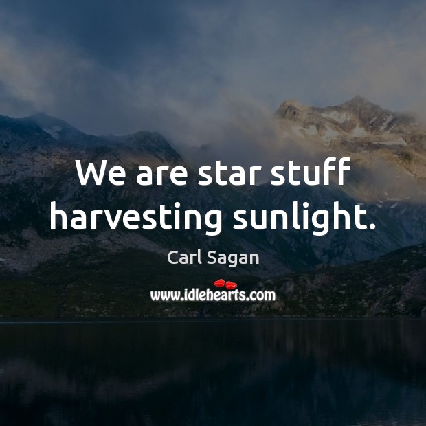 We are star stuff harvesting sunlight. Carl Sagan Picture Quote