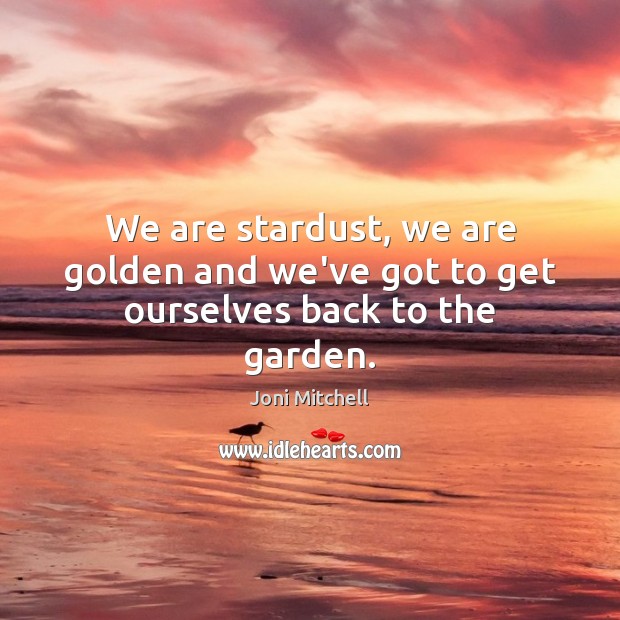 We are stardust, we are golden and we’ve got to get ourselves back to the garden. Joni Mitchell Picture Quote