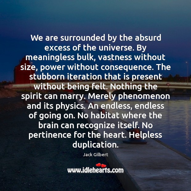 We are surrounded by the absurd excess of the universe. By meaningless Jack Gilbert Picture Quote