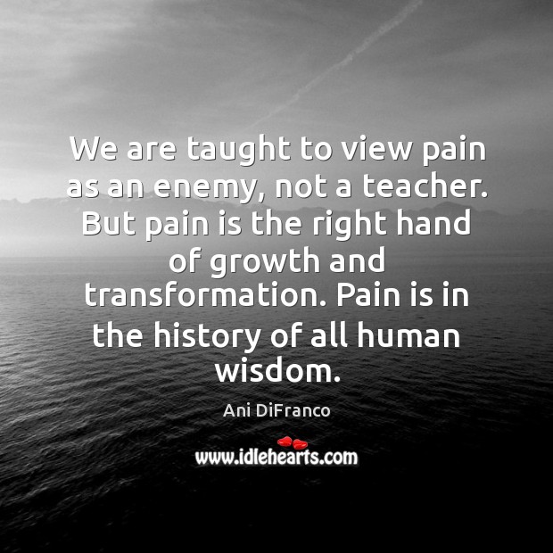 We are taught to view pain as an enemy, not a teacher. Ani DiFranco Picture Quote