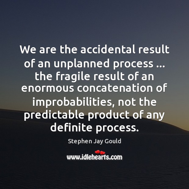 We are the accidental result of an unplanned process … the fragile result Stephen Jay Gould Picture Quote