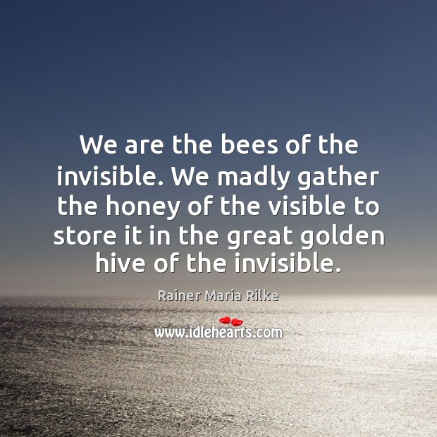 We are the bees of the invisible. We madly gather the honey Rainer Maria Rilke Picture Quote