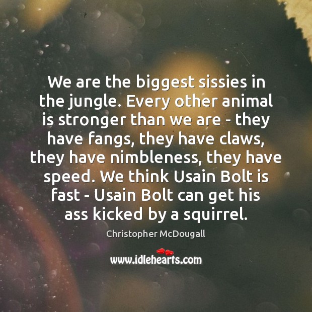 We are the biggest sissies in the jungle. Every other animal is Christopher McDougall Picture Quote