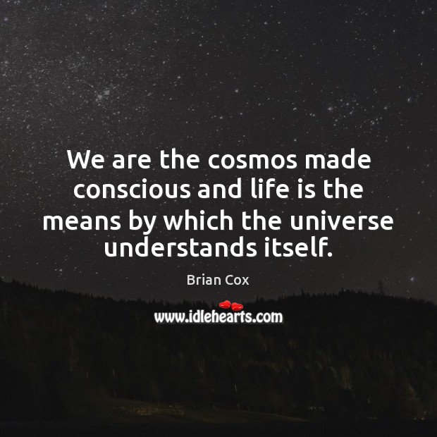 We are the cosmos made conscious and life is the means by Brian Cox Picture Quote