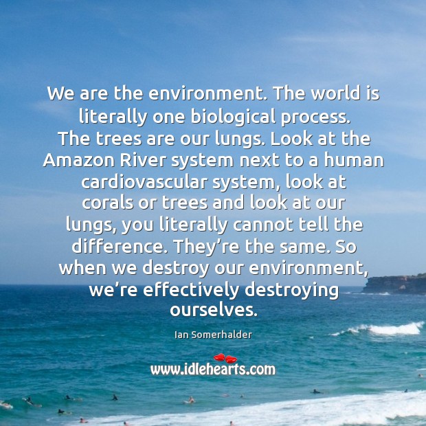We are the environment. The world is literally one biological process. The Image