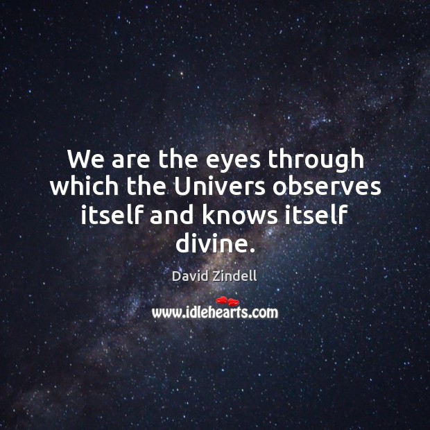 We are the eyes through which the Univers observes itself and knows itself divine. Image