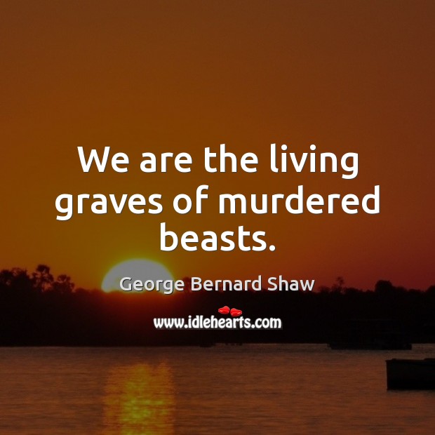 We are the living graves of murdered beasts. George Bernard Shaw Picture Quote
