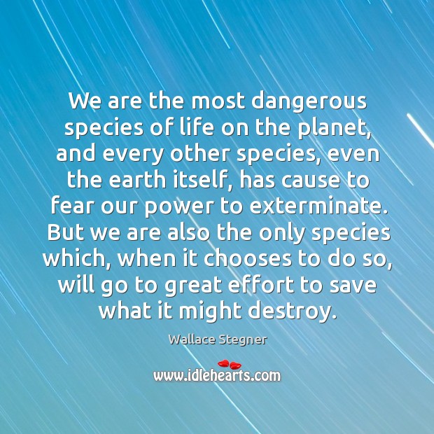 We are the most dangerous species of life on the planet, and Wallace Stegner Picture Quote