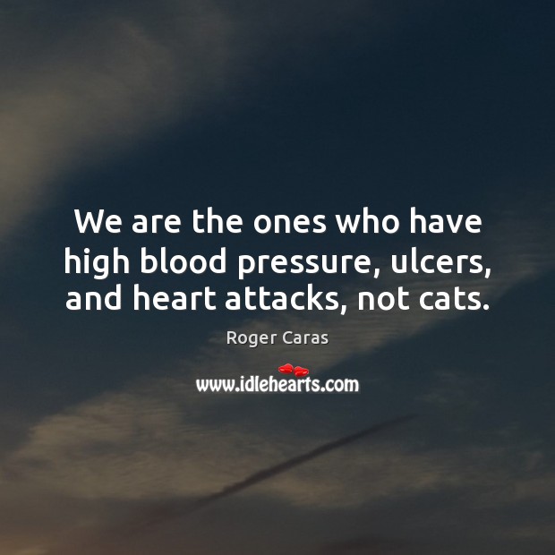 We are the ones who have high blood pressure, ulcers, and heart attacks, not cats. Roger Caras Picture Quote