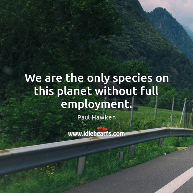 We are the only species on this planet without full employment. Paul Hawken Picture Quote