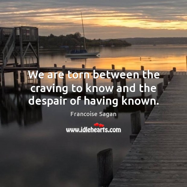 We are torn between the craving to know and the despair of having known. Francoise Sagan Picture Quote