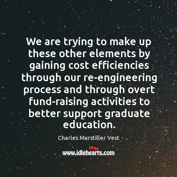 We are trying to make up these other elements by gaining cost efficiencies through our Charles Marstiller Vest Picture Quote
