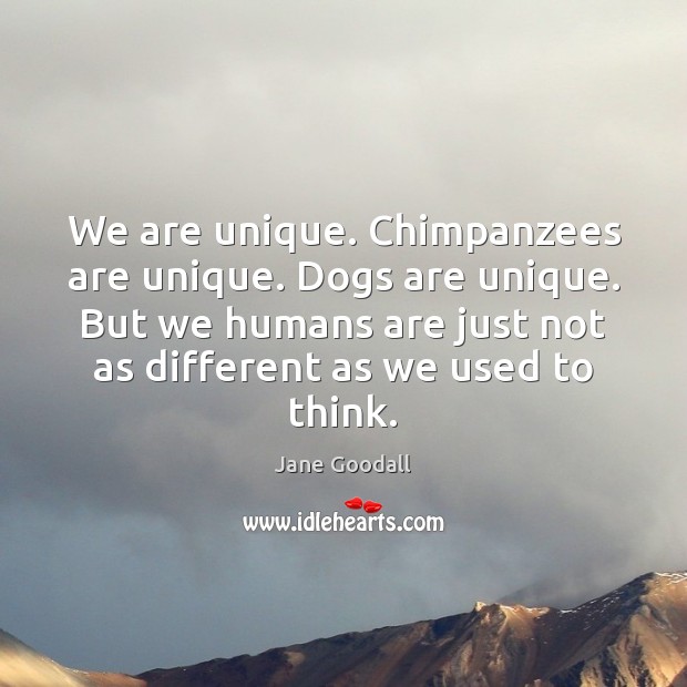 We are unique. Chimpanzees are unique. Dogs are unique. But we humans Image