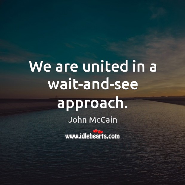 We are united in a wait-and-see approach. John McCain Picture Quote