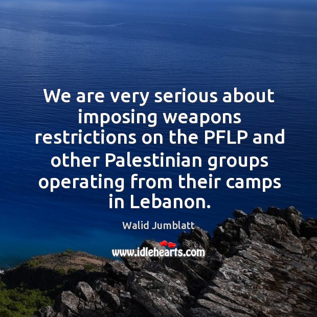 We are very serious about imposing weapons restrictions on the pflp and other Walid Jumblatt Picture Quote