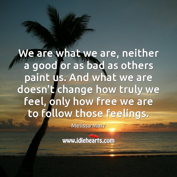 We are what we are, neither a good or as bad as Melissa Marr Picture Quote