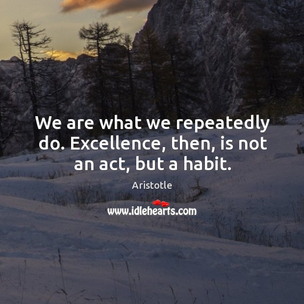 We are what we repeatedly do. Image