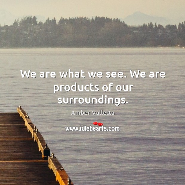We are what we see. We are products of our surroundings. Amber Valletta Picture Quote