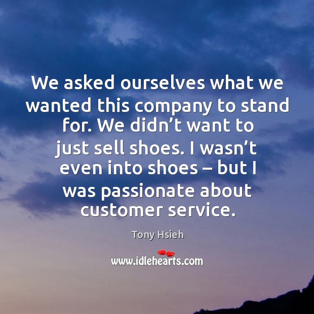 We asked ourselves what we wanted this company to stand for. Tony Hsieh Picture Quote
