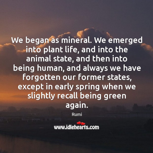 We began as mineral. We emerged into plant life, and into the Rumi Picture Quote