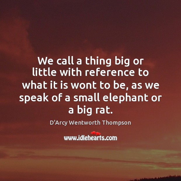 We call a thing big or little with reference to what it D’Arcy Wentworth Thompson Picture Quote