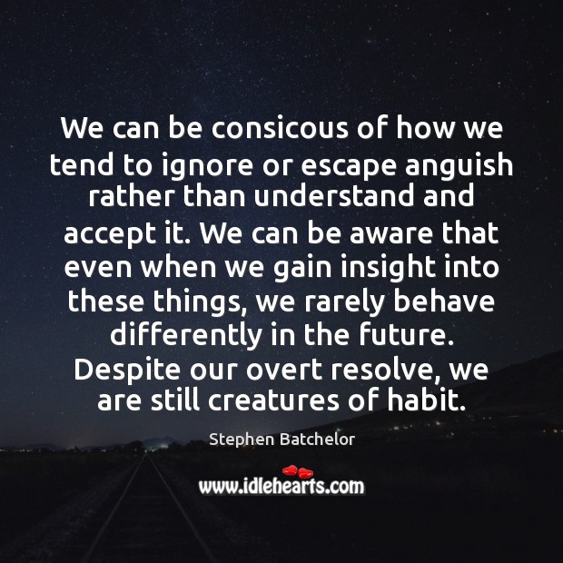 We can be consicous of how we tend to ignore or escape Stephen Batchelor Picture Quote