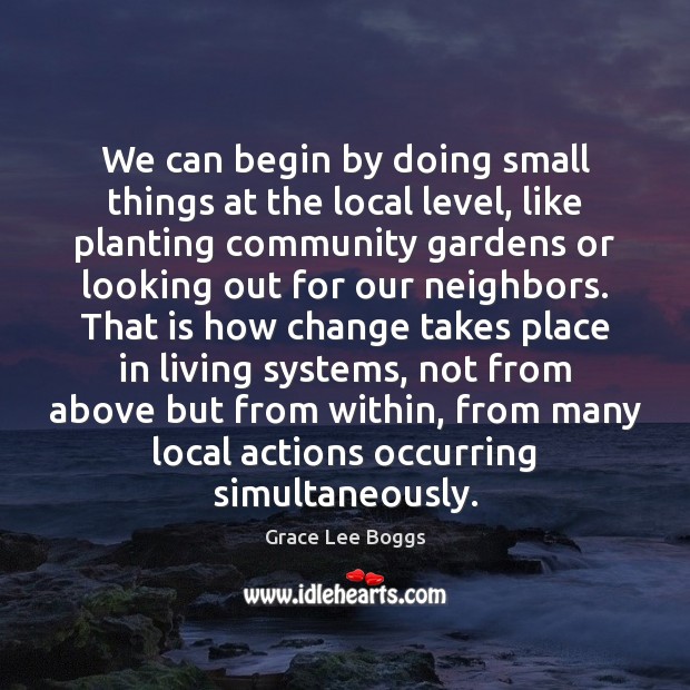 We can begin by doing small things at the local level, like Grace Lee Boggs Picture Quote