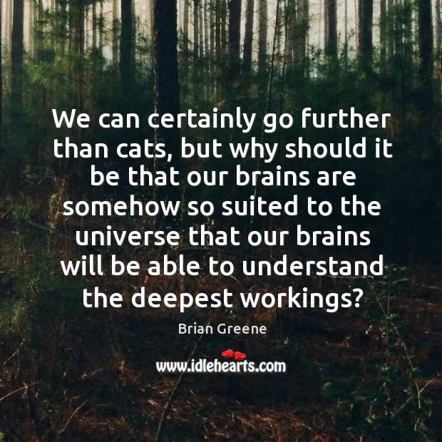 We can certainly go further than cats, but why should it be that our brains are Brian Greene Picture Quote