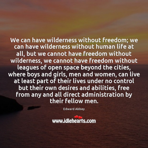 We can have wilderness without freedom; we can have wilderness without human Edward Abbey Picture Quote