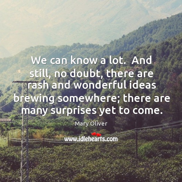 We can know a lot.  And still, no doubt, there are rash Mary Oliver Picture Quote