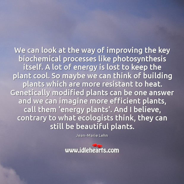 We can look at the way of improving the key biochemical processes Jean-Marie Lehn Picture Quote