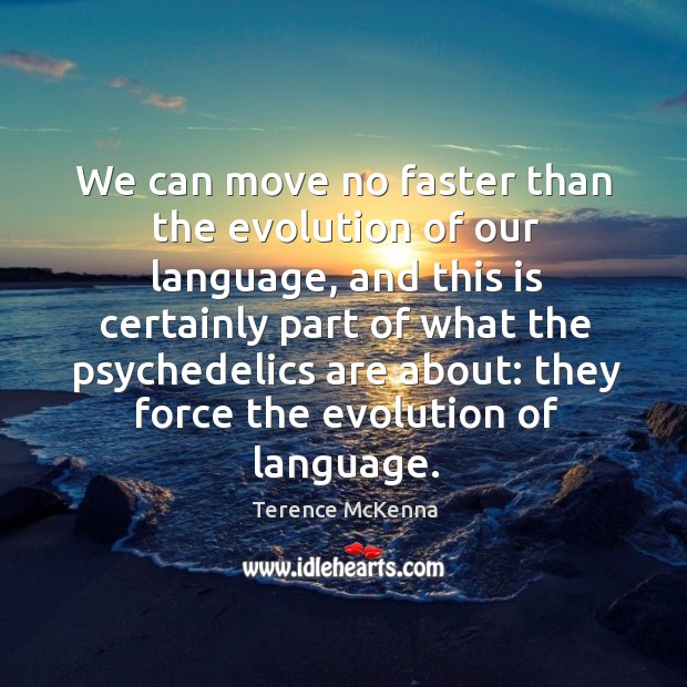 We can move no faster than the evolution of our language, and Image