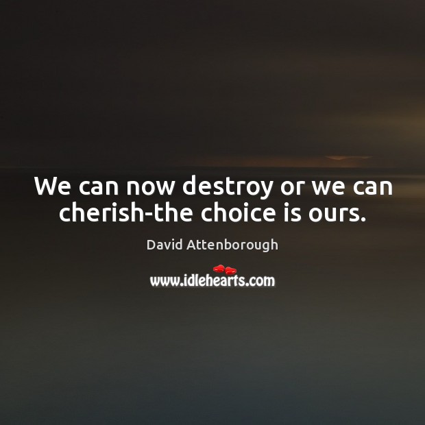 We can now destroy or we can cherish-the choice is ours. David Attenborough Picture Quote